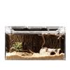 Reptile Terrarium Container Ventilation Clear Breeding Box Habitat for Jumping Lizards Scorpions Iguana Bearded Dragon