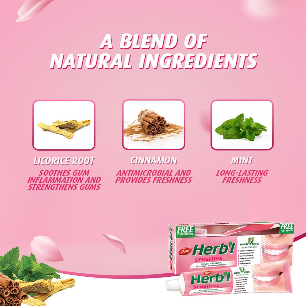Herbal Natural Toothpaste for Sensitive Teeth + FREE Toothbrush Dabur HERB'l