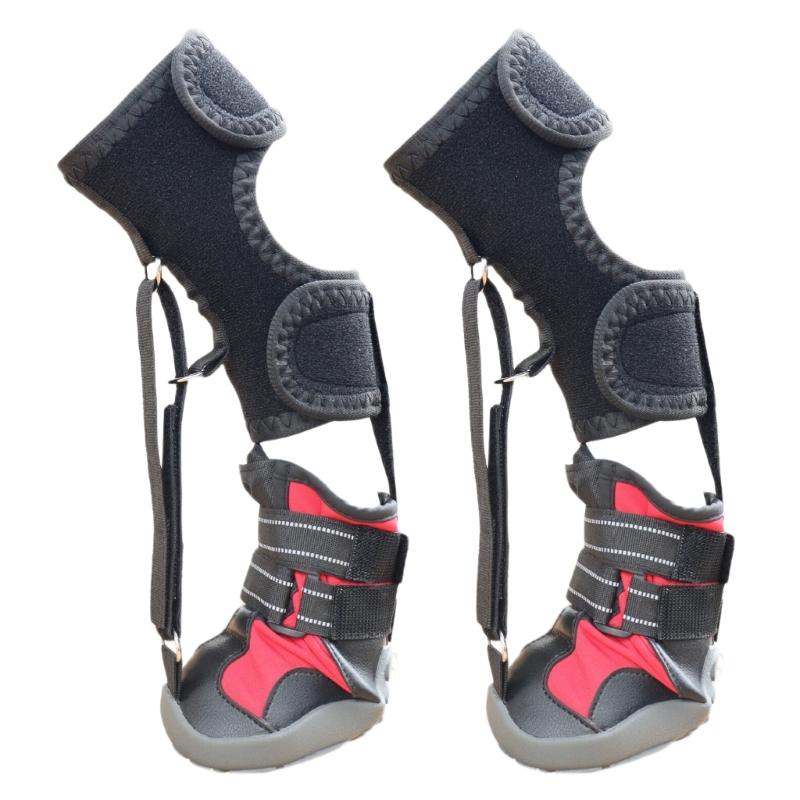 Drop Foot Brace with Reel(No Knuckling Boot Brace) for Dog Corrective Dog Shoes to Safely Lift Toes for foot Issue
