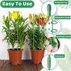 28 Pcs Adjustable Plant Support Sticks with 28 Rings and 14 Connectors for Indoor Outdoor Plants Potted Flowers Tomato Rose.
