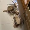 Creative Cat Cosplay Cockroach Costume Cute Funny Cat Transformation Costume with Cockroach Wings Unfinished