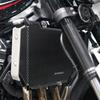 Motorcycle Guards Grille Cover Protection Fit for Kawaskai Z900RS 2021-2025 Radiator Core