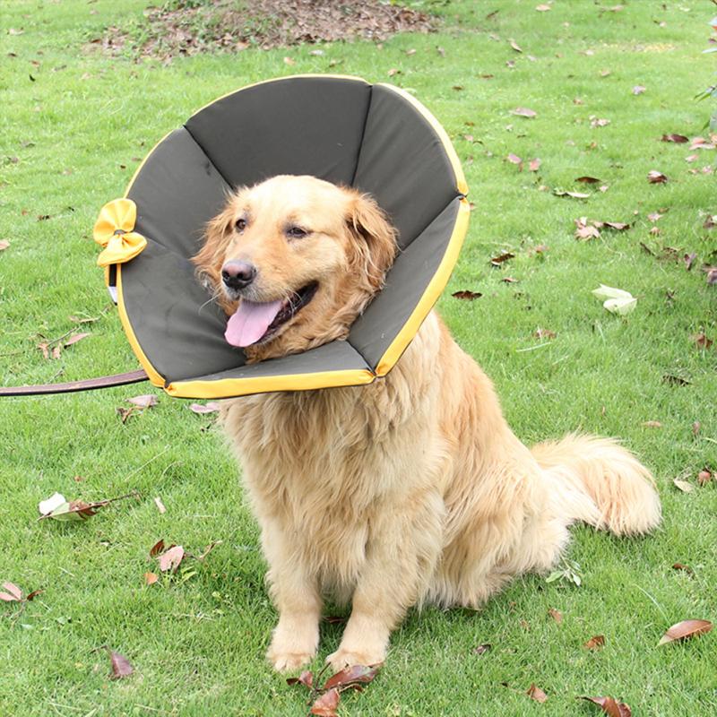 Hundekegel-Kontur-Trichter, komfortables Design, weicher Kragen, schützt Schwanz, Pfoten, Unterkörper