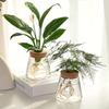 Simple modern transparent glass hydroponic plant stand vase office desktop ornament home decoration flower pot