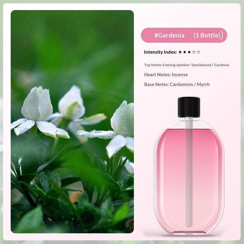 Wiederaufladbarer tragbarer Aromatherapie-Diffusor Mini-USB-Lade-Duftdiffusor für Auto-Getränkehalter Schreibtischgebrauch