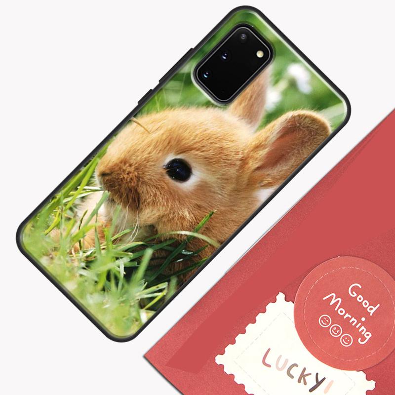Baby Rabbits Bunny Phone Case For Samsung Galaxy S25 S26 Ultra S20 S21 S22 S23 S24 Plus S9 S10 S25 FE Cover Shell