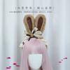 A Handmade J Headdress Lolita Hair Accessory Chocolate Rabbit Plush Rabbit Ears Headband Bangs