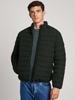Pepe Jeans Tomi Jacket (PM403027-999)