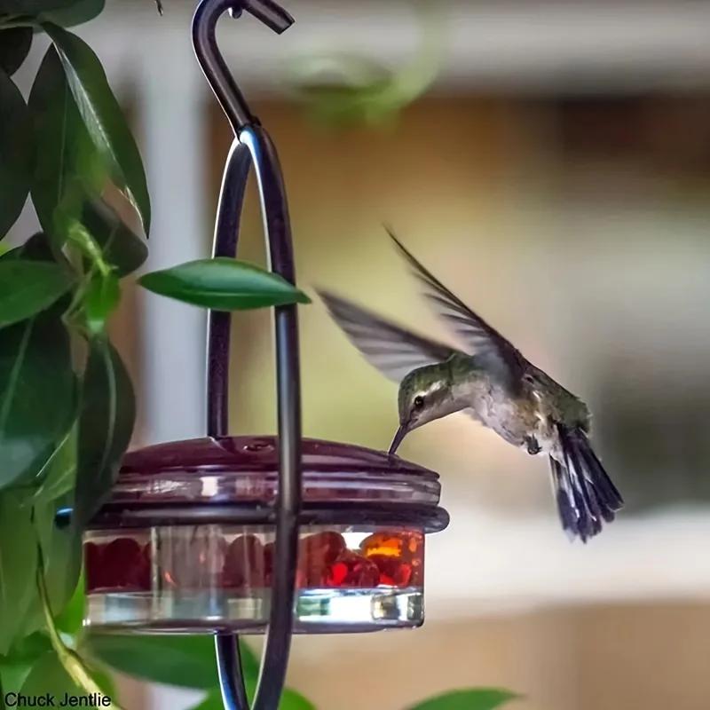 Hummingbird Feeder, Beautiful Hanging Bird Feeder with Circular Metal Frame and Metal Bottle. Hummingbird Feeder