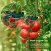 Plant Fixed Clips Reusable Garden Greenhouse Bracket Seedling Stem Support Fastener Garden Climbing Vines Vegetables Fixed Tool