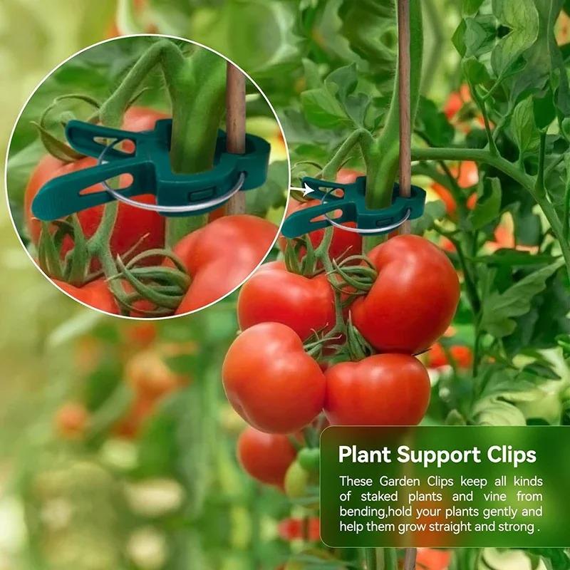 Plant Fixed Clips Reusable Garden Greenhouse Bracket Seedling Stem Support Fastener Garden Climbing Vines Vegetables Fixed Tool
