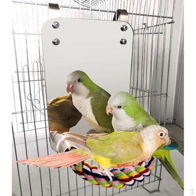 1-teiliger Vogelspiegel mit Sitzstangenständer, der Ihrem Haustier eine physische und physische Atmosphäre bietet.