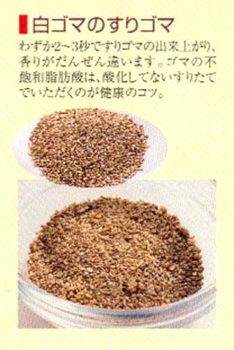 Iwatani IFM-600D Blender 600D