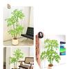 Nandina Luxury Artificial Tree - Indoor Floor Decoration & Bionic Green Plant Potted Ornament