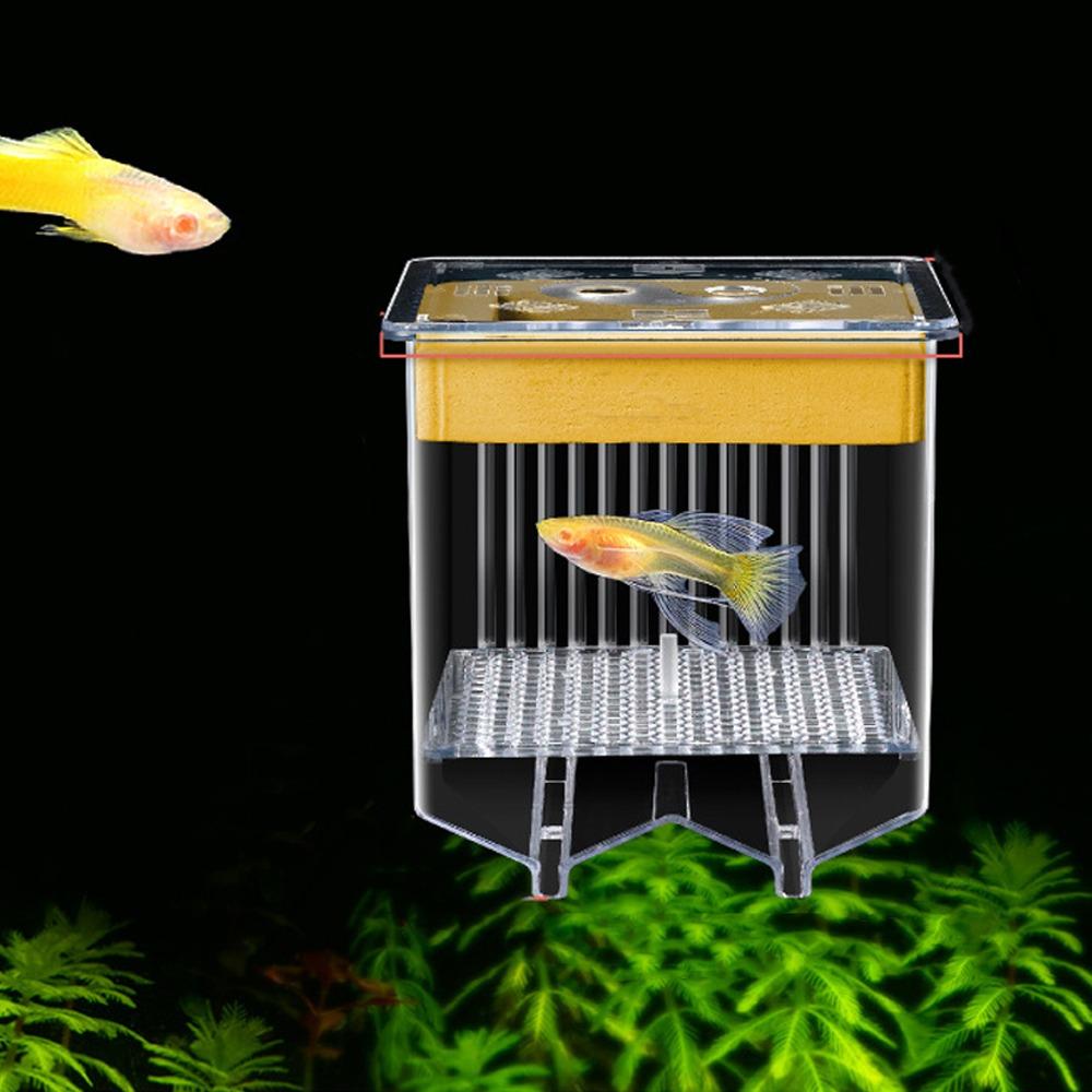 Detachable Guppy Breeder Box Transparent Fish Tank Divider Floating Hatching Box  Fish Breeding