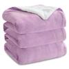 Coral Simplified Fleeces Blanket Thickened Double Layer Lounge Bed Supplies