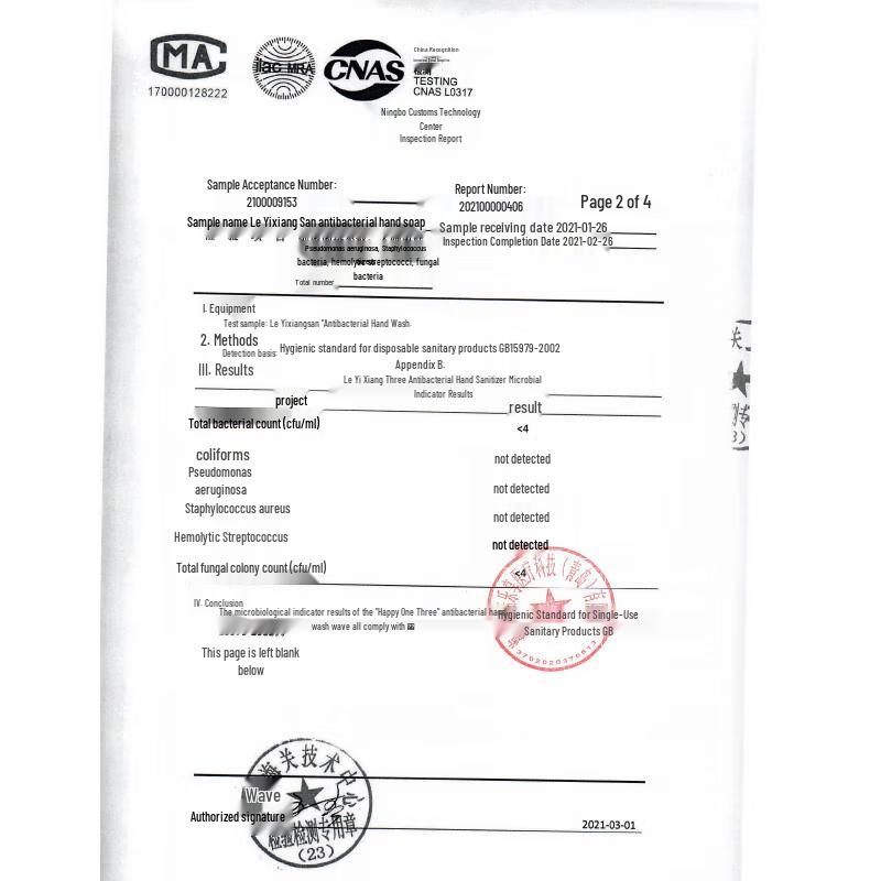 Leyi Xiangsan Antibacterial Hand Wash