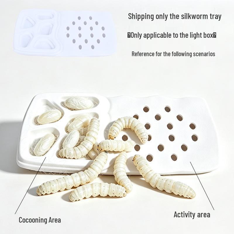 International Outdoor Insect Adventure Set: Silkworm Rearing Chamber, Butterfly Capsule, Insect Net & Adventure Toys with Lights