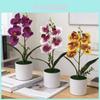 Keine IP Künstliche Orchideenpflanze mit Kunststoff und Weichgel für Heimdekoration und Fotografie-Requisiten