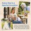 Breathable Dog Princess Dress White Lace Cat Cake Skirt Puffy Dog Floral Skirt  Photo Shoot