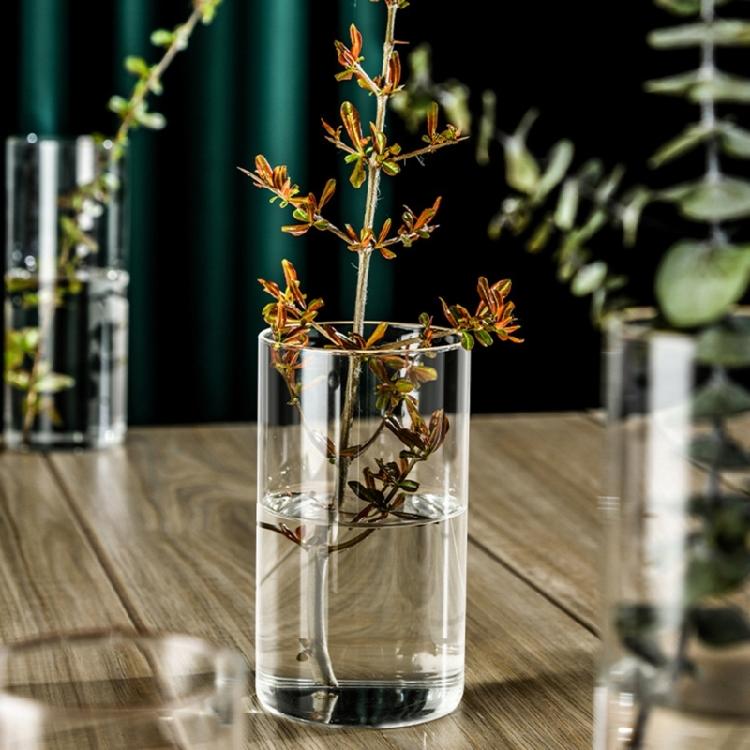 Vase en verre transparent Cylindres en verre Vase adapté à divers arrangements