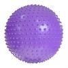 ProFit Massage Exercise Ball