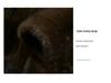 Men's Double-Sided Sable Fur Mid-Length Winter Coat