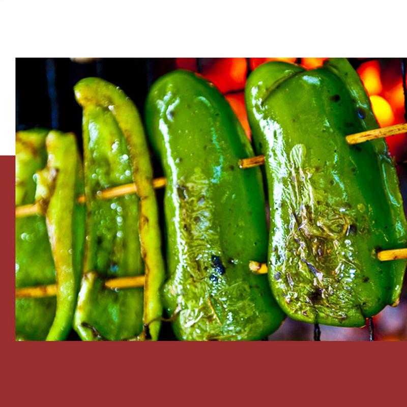 Portable Grill Camping Grill Folding Heavy Duty Metal Desktop Camp Fire Outdoor Cooking Equipment For Barbecue Grilling Picnics