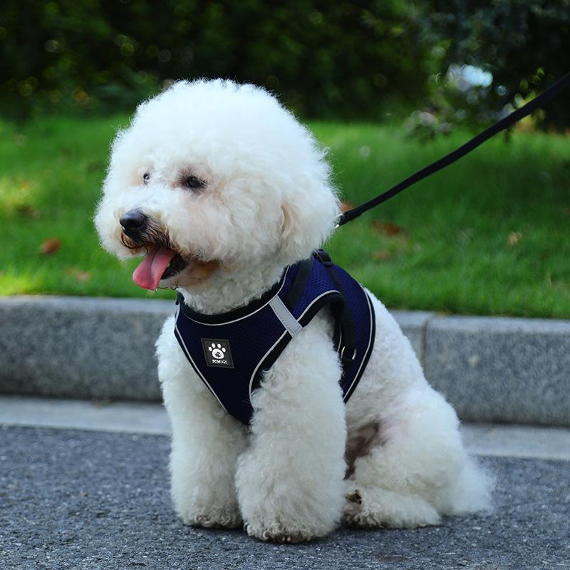 Cat leash anti-break free vest type Internet celebrity walking cat rope British short go out special cat chain pet chest strap