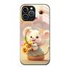 Suitable for Apple 15pro Airbag Stand, Phone Case Telescopic Stand, Glass Cartoon Painted Protective Case