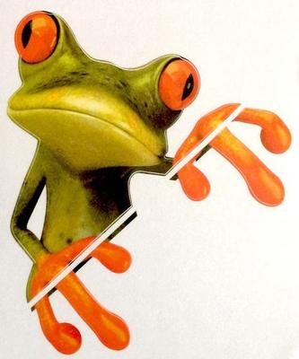 Süßer und Interessanter Frosch Aufkleber Tier Decal Und Einzigartige Dekorationswahl Frosch Aufkleber 3D Auto