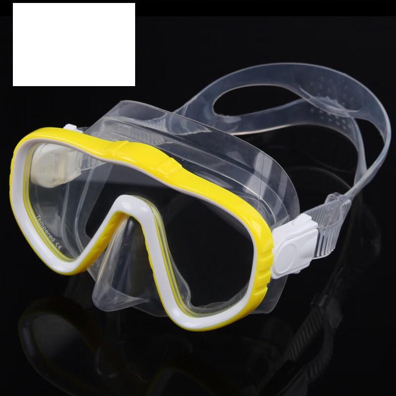SBART Adult Full Dry Snorkeling & Diving Mask One Size