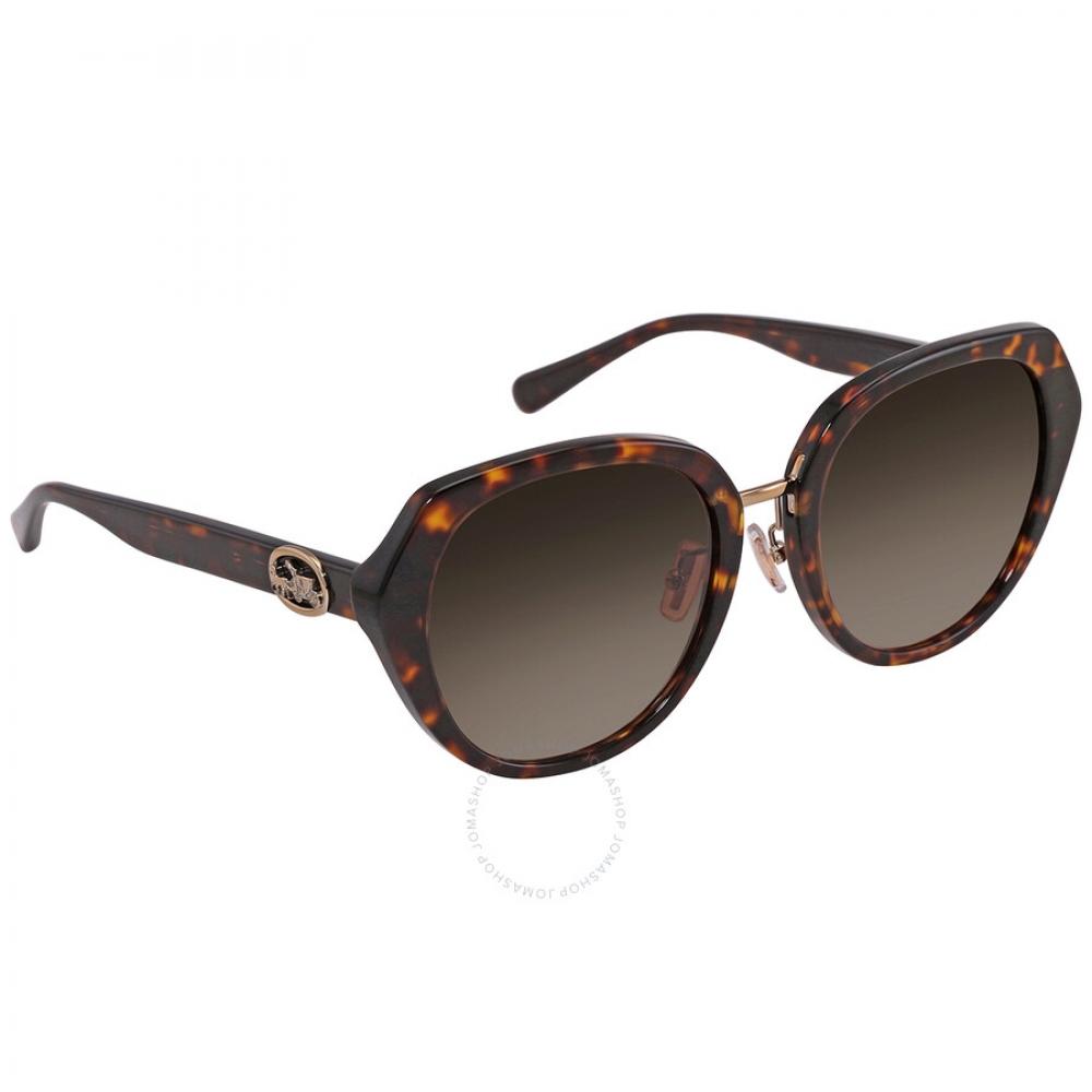 Coach Brown Gradient Butterfly Ladies Sunglasses Hc8331 512013 55