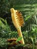 Cute Cat Wooden Comb Bamboo Massage Hair Combs Natural Anti-static Hair Brushes Hair Care Massage Comb Hairdressing Styling Tool