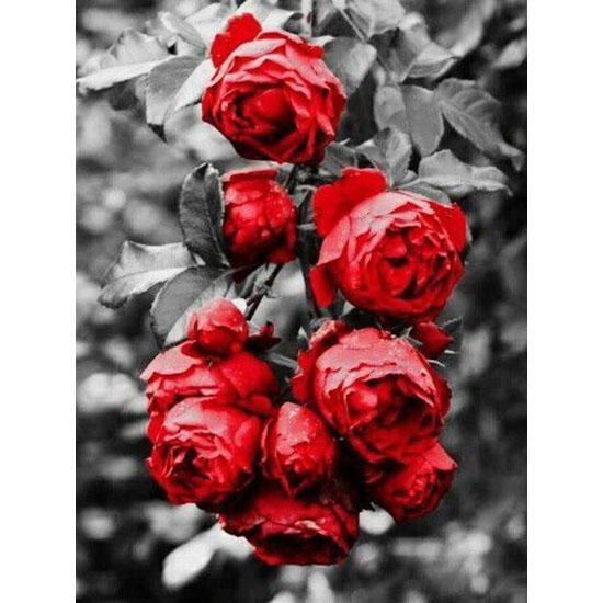 huacan Diamant Mozaic Flori Strasuri Diamant Broderie Diamant Pictură Floral Trandafir