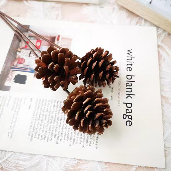 Christmas Pine Cones & Dried Flowers Pack - Eucalyptus, Pine Wood, Cotton, Handmade Photography Props