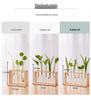 Nordic Glass Vase with Wooden Stand: Hydroponic Plant Table Decoration