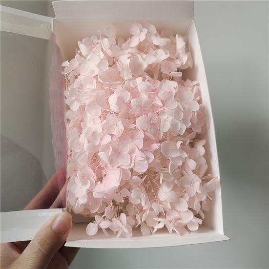 Excellent Dried Flower Heads Eye-catching 21 Styles Decorative