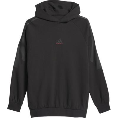 adidas FW24 Die 2025 Kollektion Kapitel 01 Einfarbig Bequem Weich Hoodie Unisex Hoodies Schwarz IW5653