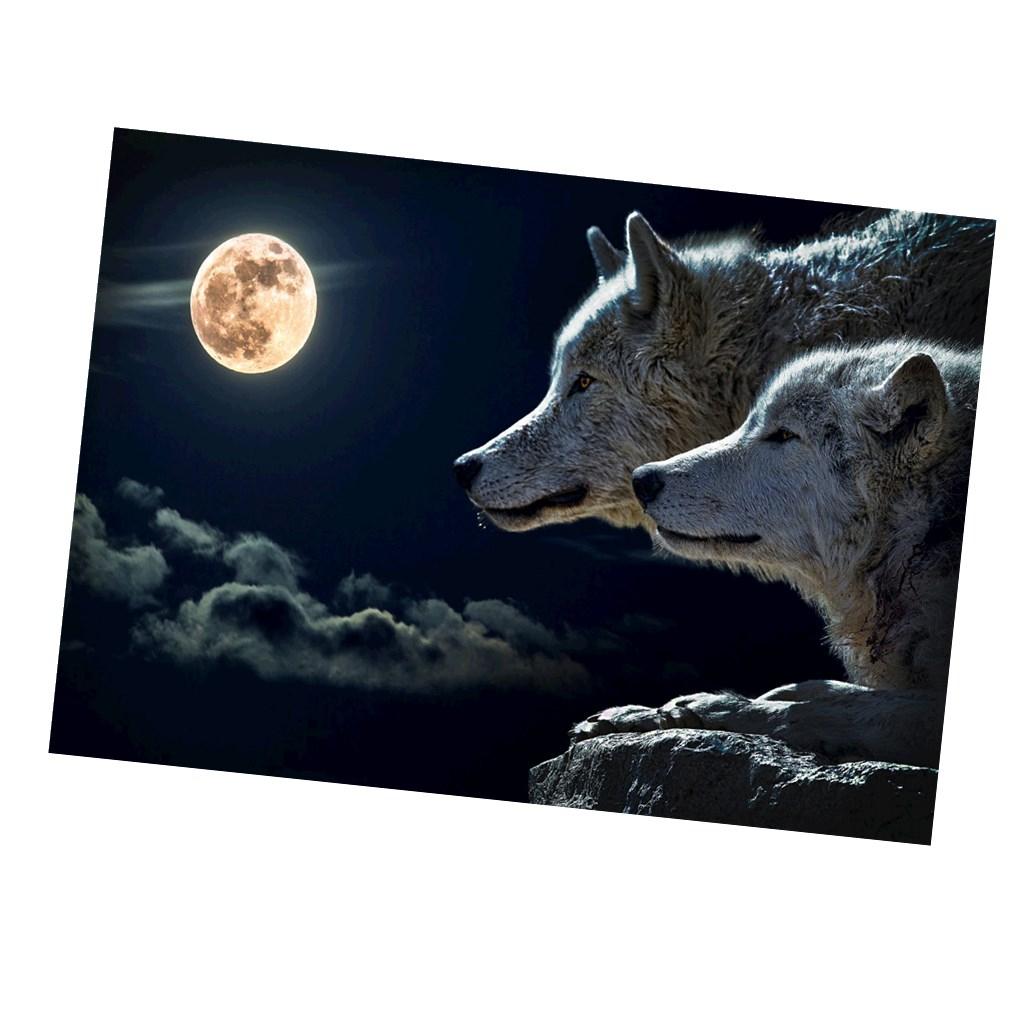 1pc 5D DIY diamond of painting Animal Cartoon Embroidery Craft stitch - Wolf
