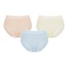 Women's Mesh Underwear 3-Pack