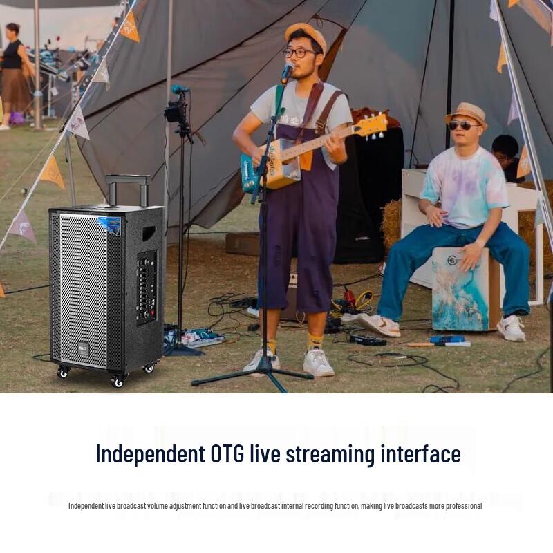 SAST SA-807 12-inch Outdoor Portable Bluetooth Speaker