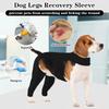 Adjustable Dog Leg Rehabilitation Suit Breathable Dog Knee Brace  Wound Protection