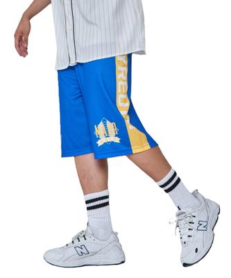 WEGO Mesh Line Graphic Half Streetwear Summer Size Blue Men's Shorts, Pants, Shorts, Clothes, L,