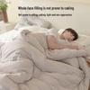 HLA Cashmere Protein Fiber Warm Winter Quilt