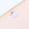 Electroplated Natural Shell Conch Scallop Pendant for DIY Necklace & Bracelet Jewelry