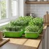 2Pcs Double Layer Germination Tray Plastic Cultivation Pot Soil-Free Nursery Pots High Ventilation Grid Design Sprout Tray