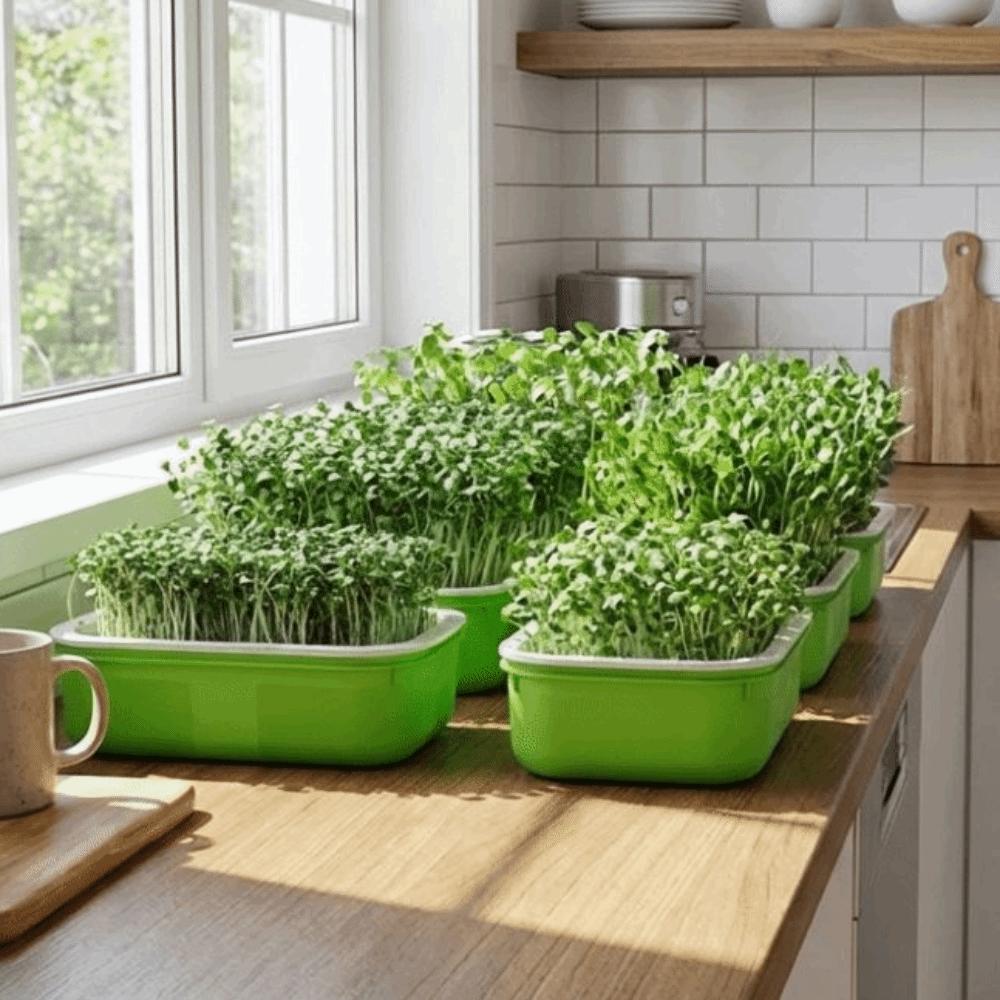 2Pcs Double Layer Germination Tray Plastic Cultivation Pot Soil-Free Nursery Pots High Ventilation Grid Design Sprout Tray