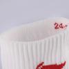 Li Ning Unisex Ankle Socks LNXY037-111