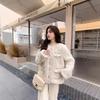New Autumn and Winter Imitation Lamb Fur Jacket Women's Fashion Imitation Rabbit Fur Round Neck Cotton Dress